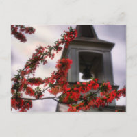 Glocke Blume der alten Lynchburg Virginia Friedhof