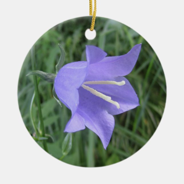 Glockenblume Keramik Ornament (Vorne)