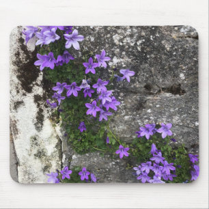 Glockenblumen, die an einer Wand wachsen Mousepad