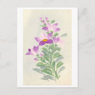 Glockenblumen (Japan) Postkarte