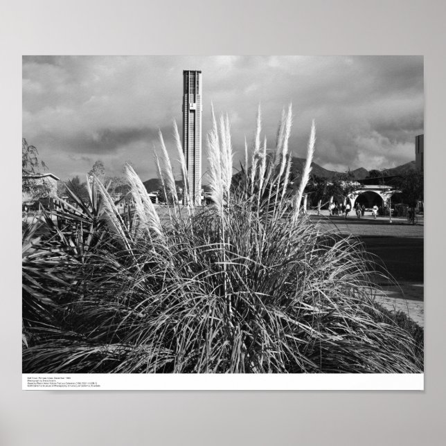 Glockenturm, Pampas Grass, Dezember 1966 Poster (Vorne)