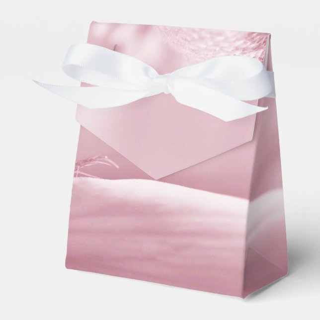 Gloriosa Daisy Macro Geschenkschachtel (Vorderseite)