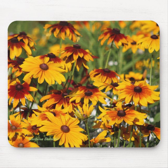 Gloriosa Gänseblümchen! Mousepad (Vorne)