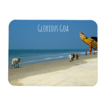 Glorious Goa - Kühe am Strand in South Goa