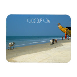 Glorious Goa - Kühe am Strand in South Goa Magnet