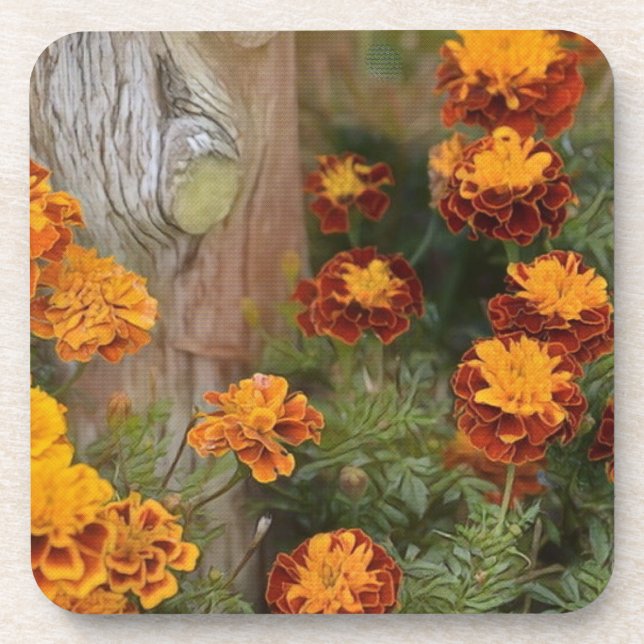 Glorious Marigolds Getränkeuntersetzer (Vorderseite)