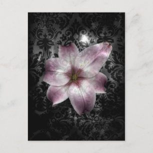 Glorious Mystery Postkarte