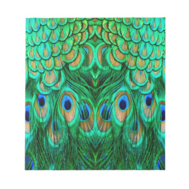 Glorious Peacock Feathers Notizblock (Vorderseite)