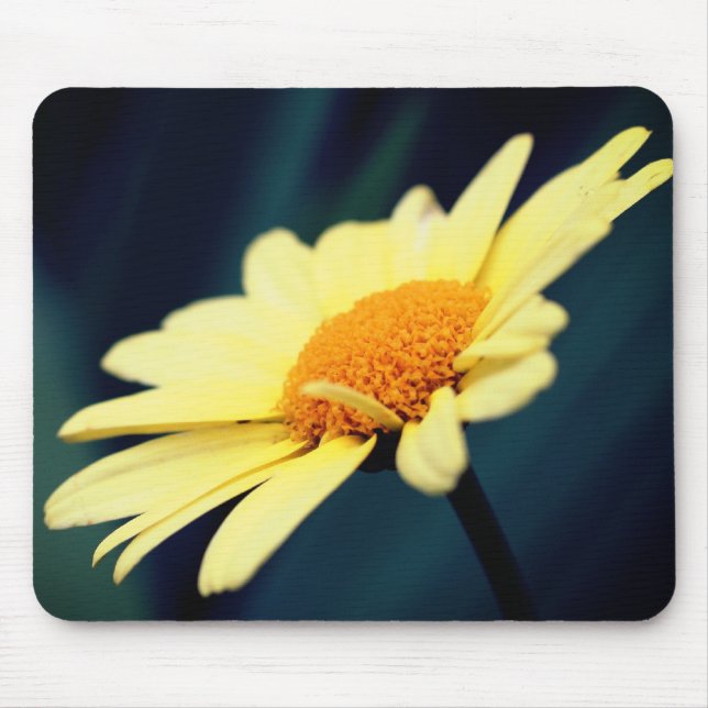 Glorious Yellow Daisy Blume Mousepad (Vorne)