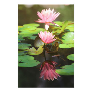 Glorreiche Reflektionen Fotodruck