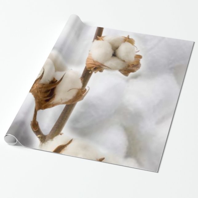 Glossopapier, Baumwolle Geschenkpapier (Ungerollt)