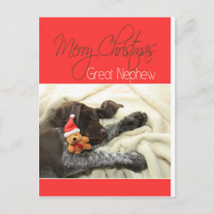 Glossy Grizzly Great Nephew Frohe Weihnachten