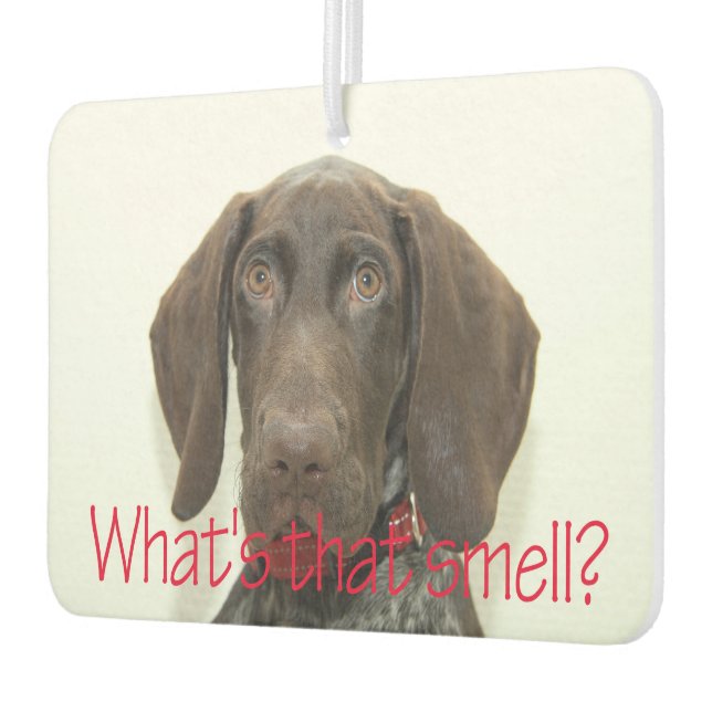 Glossy Grizzly, wie riecht das? Autolufterfrischer (Links)