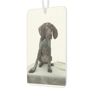 Glossy Grizzy Air Freshener Autolufterfrischer