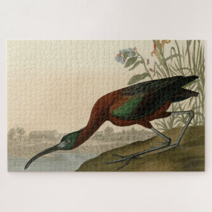 Glossy Ibis - von Audubons Vögeln Amerikas Puzzle