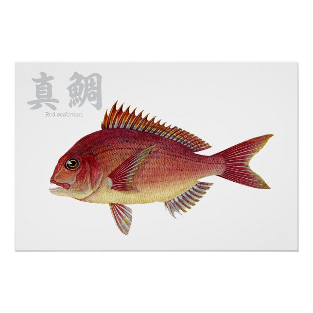 Glossyposter Poster (Vorderseite)