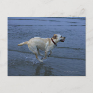 Gloucester, Massachusetts, USA 2 Postkarte