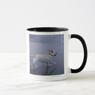 Gloucester, Massachusetts, USA Tasse
