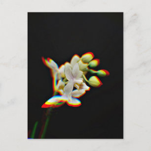 Glow Effect der orchid-Blume Postkarte