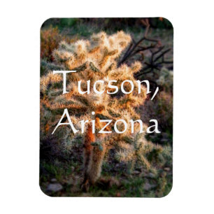 Glowcholla Tucson, Arizona Magnet
