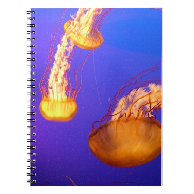 GLOWING JELLYFISH SPIRAL BOUND NOTEBOOK NOTIZBLOCK (Vorderseite)