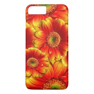Glows Gerbera Daisies Case-Mate iPhone Hülle