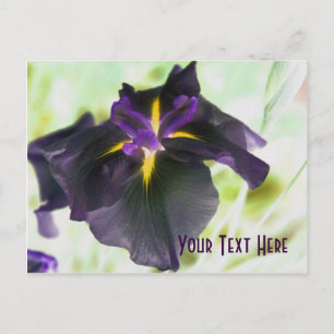 Glows Iris floral Customizable Postcard Postkarte