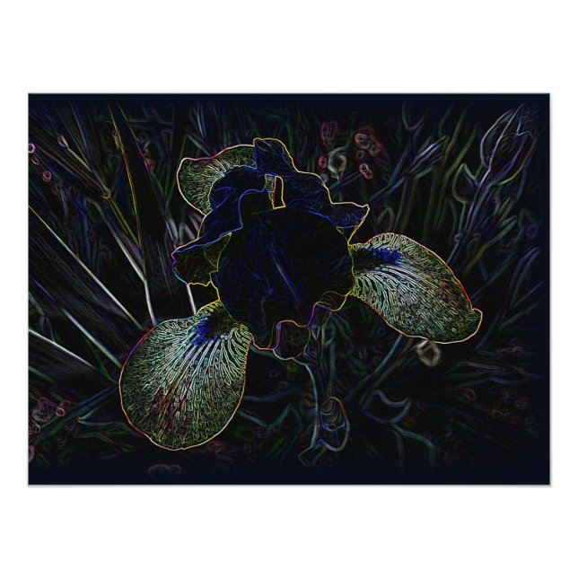 Glows Iris Fotodruck (Vorne)