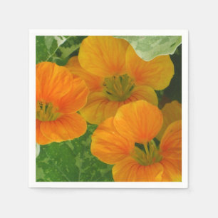 Glows Nasturtium Paper Napkins Serviette