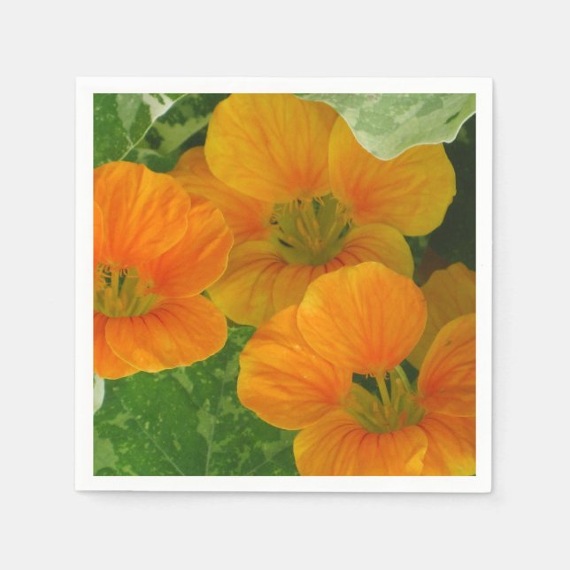 Glows Nasturtium Paper Napkins Serviette (Vorderseite)