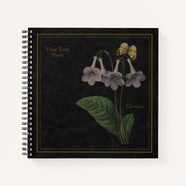 Gloxinia Schwarzes Notizbuch (Vorderseite)