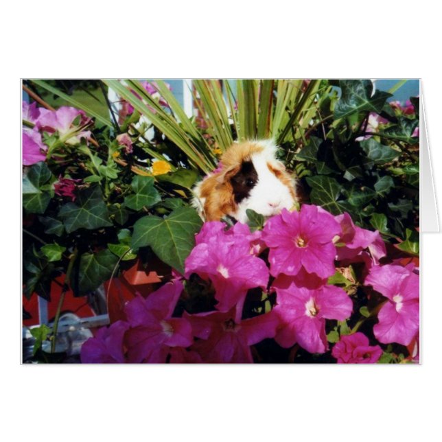 Glück (Vorderseite (Horizontal))