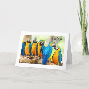 GLÜCK **16.** GEBURTSTAG KARTE