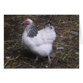 Glück beim Licht Sussex