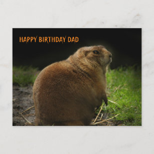 GLÜCK BIRTHDAY VATER Woodchuck Groundhog Picture  Postkarte