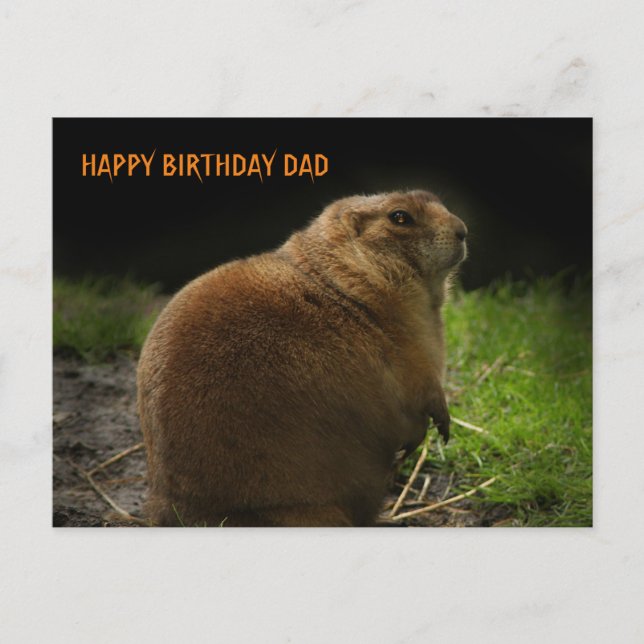 GLÜCK BIRTHDAY VATER Woodchuck Groundhog Picture Postkarte (Vorderseite)