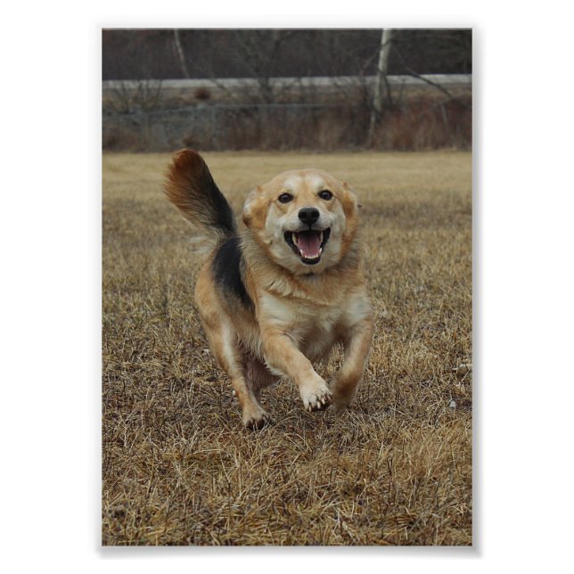 Glück Fotodruck (Vorne)