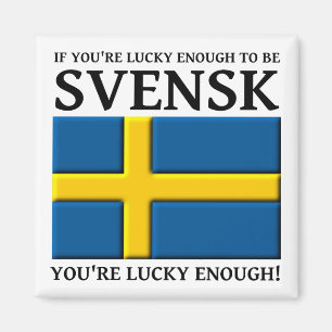 Glück gehabt, ein schwedischer Magnet zu sein
