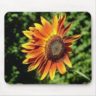 "Glück in der Orange " Mousepad