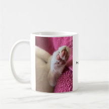 Glück ist eine warme Katze. Katzen-Kaffeetasse