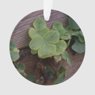 Glück oder Entschlossenheit? Saint Patricks Day Sh Ornament
