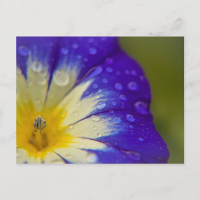 Glück Postkarte (Vorderseite)