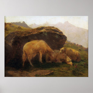Glück - Schafe auf einem Hügel Poster