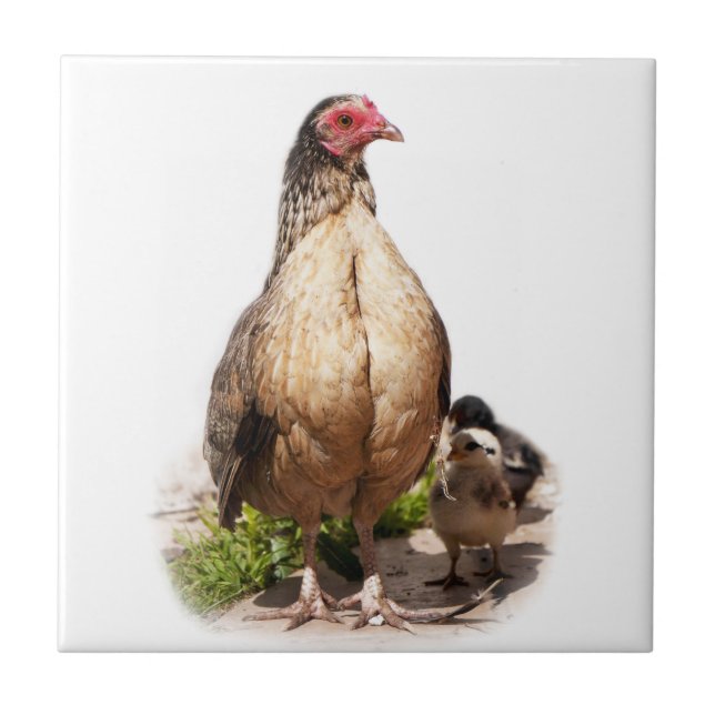 Glucke und Küken Fliese (Vorderseite)