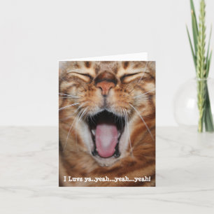 Glücklich Bengalische Katze: "Ich luvs ja... ja. j Feiertagskarte