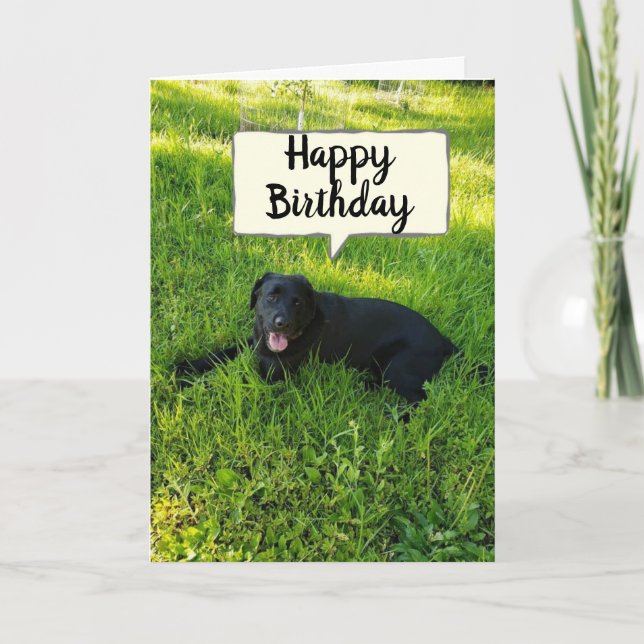 GLÜCKLICH BIRTHDAY BECUZ IHR FAV-MITARBEITER "COUN KARTE (Vorderseite)