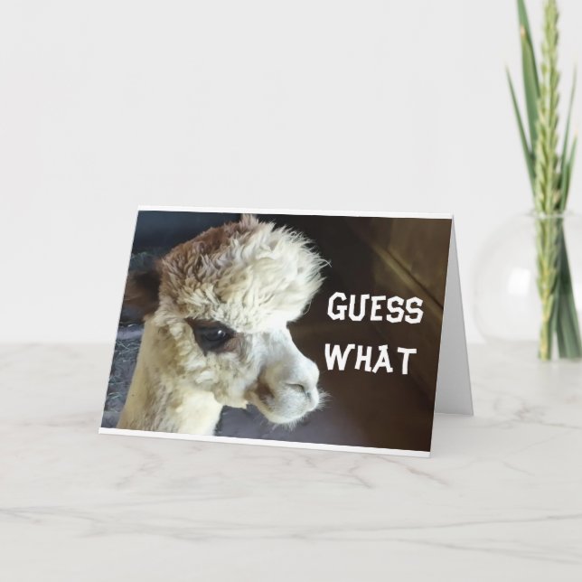 GLÜCKLICH *BIRTHDAY* SAY LLAMA CARD KARTE (Vorderseite)