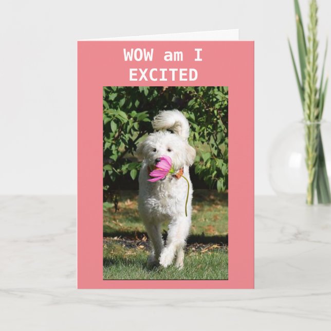 GLÜCKLICH BIRTHTAG ZU MEINER *GRANDDAUGHTER* KARTE (Vorderseite)