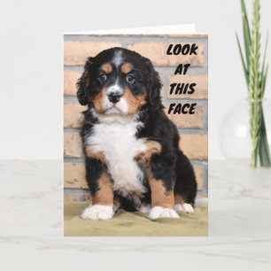 "GLÜCKLICH DANKSGEBEN IHNEN", SAGTE DOT KARTE