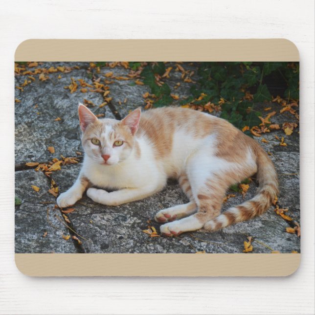 Glücklich die schöne Katze Mousepad (Vorne)